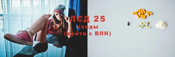 PSILOCYBIN Каменка