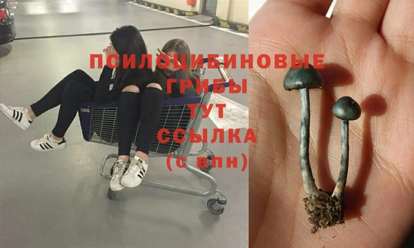 мет Балабаново