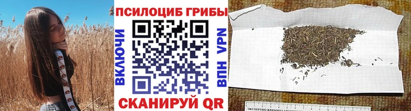 Псилоцибиновые грибы GOLDEN TEACHER  Пудож 