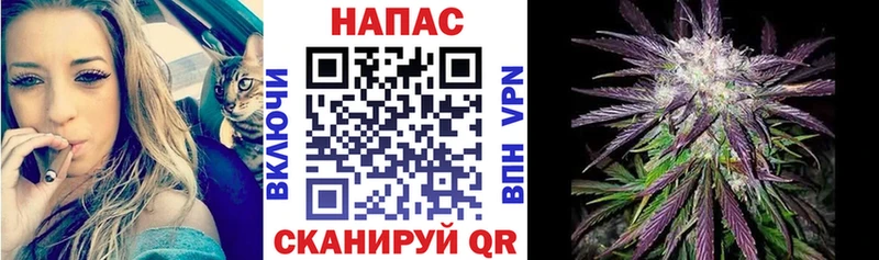 гидра онион  Пудож  Бошки Шишки тримм 